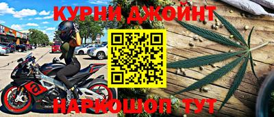 гидра Ставрополь