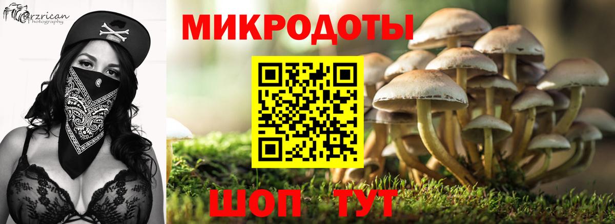 Галлюциногенные грибы Magic Shrooms Партизанск